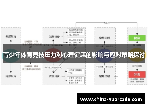 青少年体育竞技压力对心理健康的影响与应对策略探讨